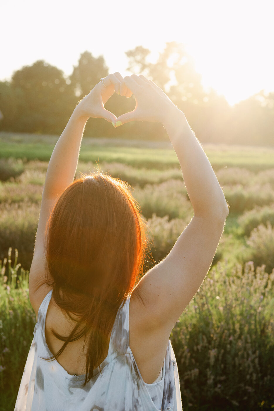 Hands forming a heart shape against a golden lavender field
